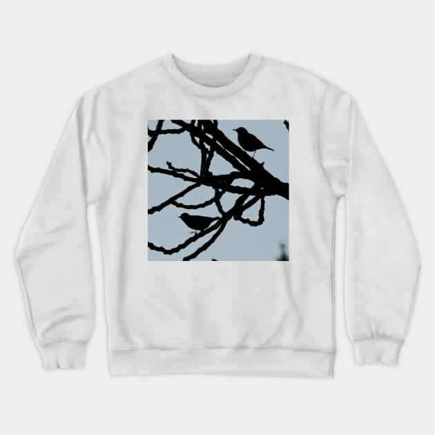 Sparrows Birds Tree Bare Branches Silhouette Crewneck Sweatshirt by oknoki